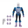 DC Collectibles Batman: The Animated Series - Mr. Freeze Action Figure DC Comics