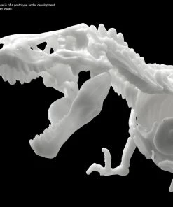 Bandai Japan Gundam Bandai Hobby Imaginary Limex Skeleton Tyrannosaurus Model Kit 10 Bandai Japan Gundam Bandai Hobby Imaginary Limex Skeleton Tyrannosaurus Model Kit